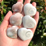 Natural Conch Shell Love Heart Healing Stones For Meditation Healing & Gifts