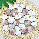 Natural Conch Shell Love Heart Healing Stones For Meditation Healing & Gifts